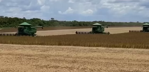  A Queda do Ouro e o Crescimento da Soja